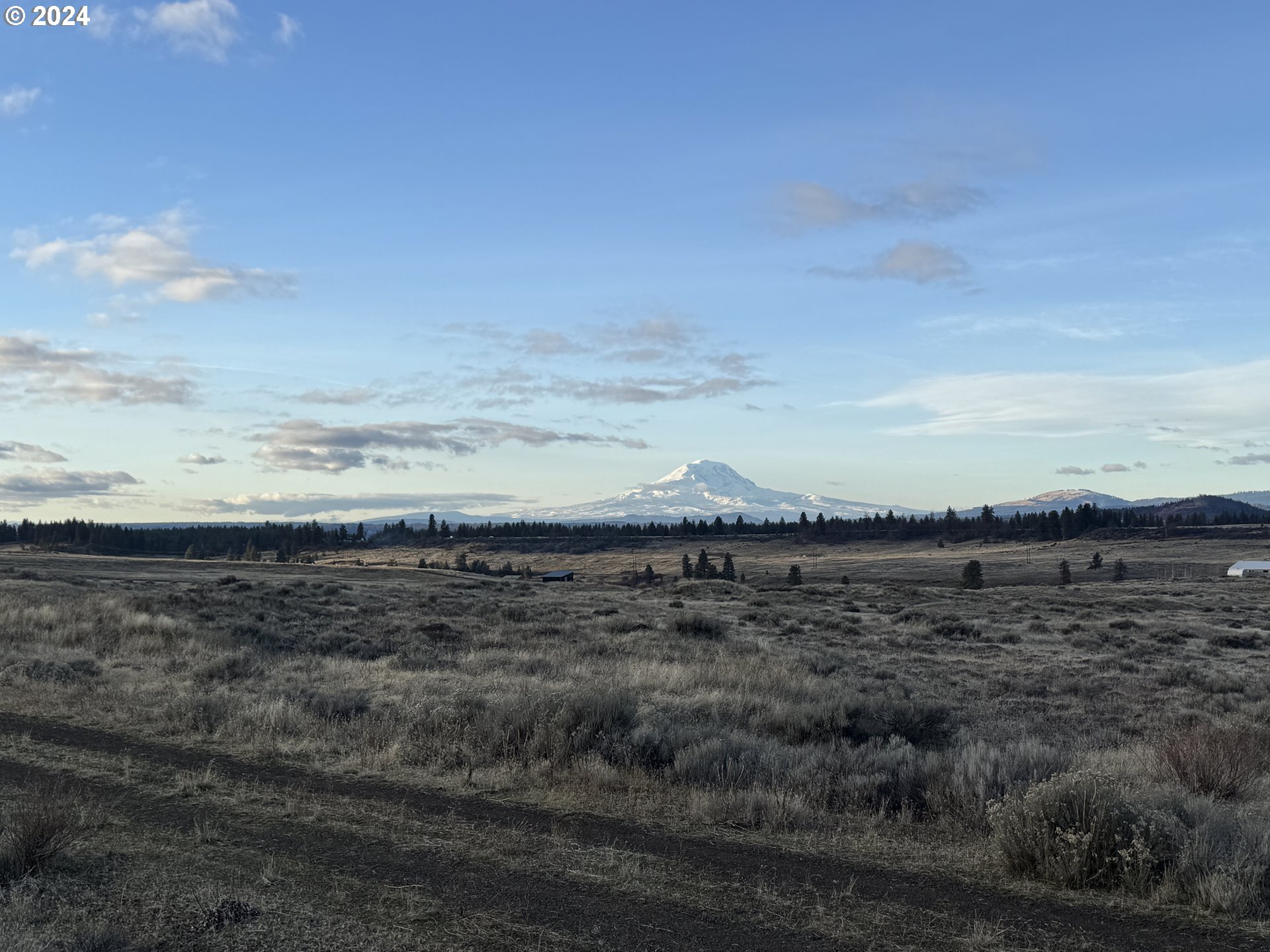 Lipo Centerville, WA 98613 - Photo 4 of 12 a view of beach and ocean