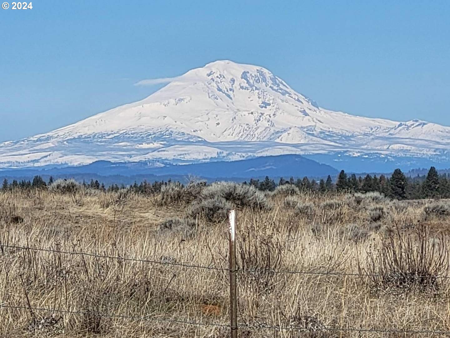 Lipo Centerville, WA 98613 - Photo 5 of 12 a view of a sky from a balcony