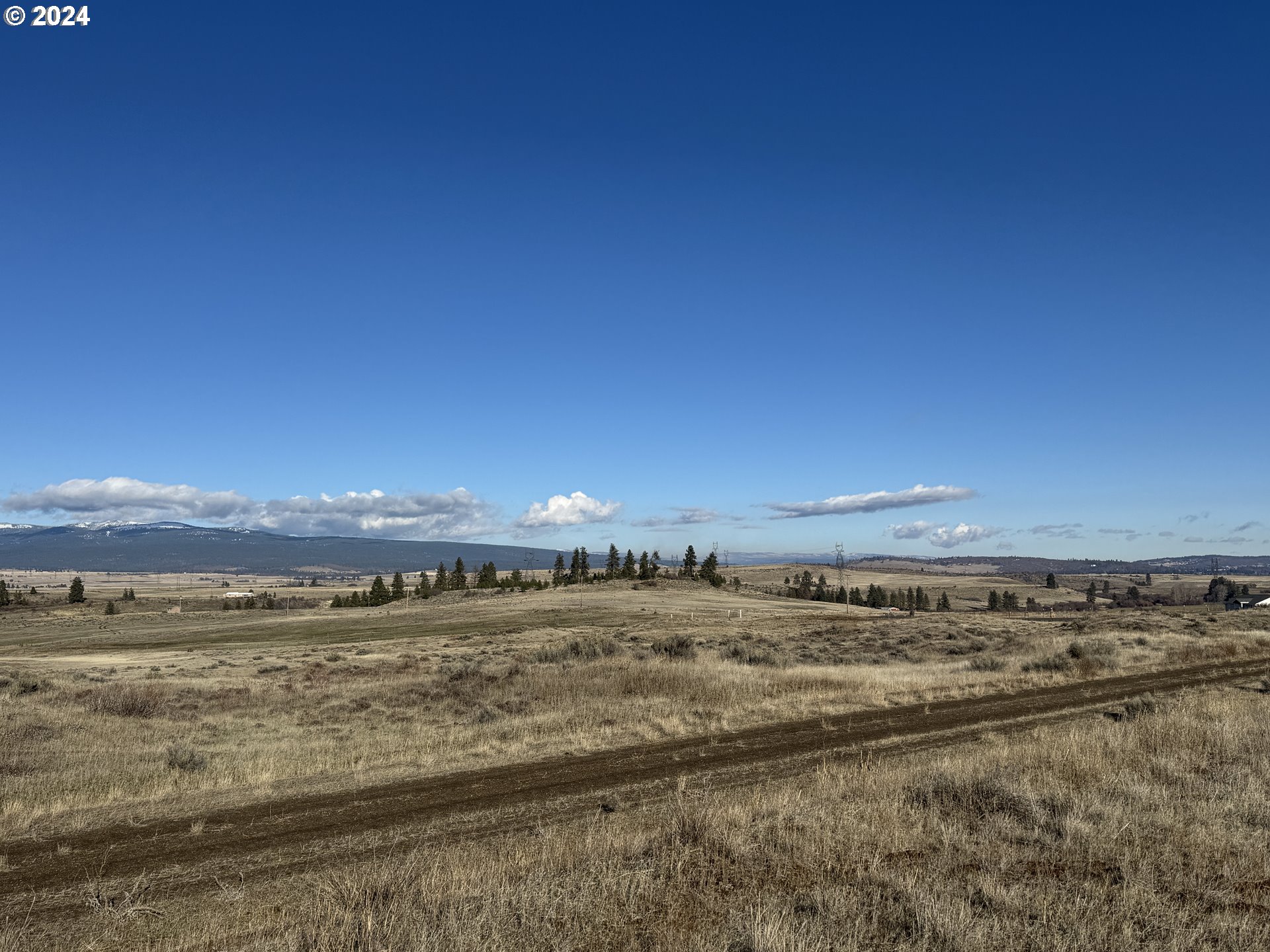 Lipo Centerville, WA 98613 - Photo 7 of 12 a view of an ocean beach