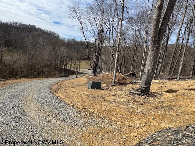 Tbd Green Valley Road Bridgeport, WV 26330 - Photo 12 of 19 Gallery Image 12