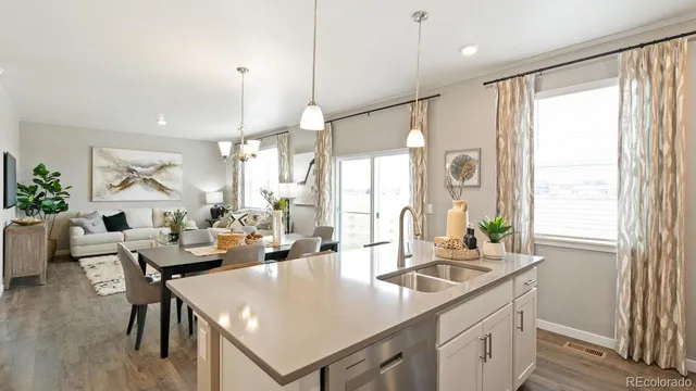 a kitchen with a potted plant on the counter and cabinets