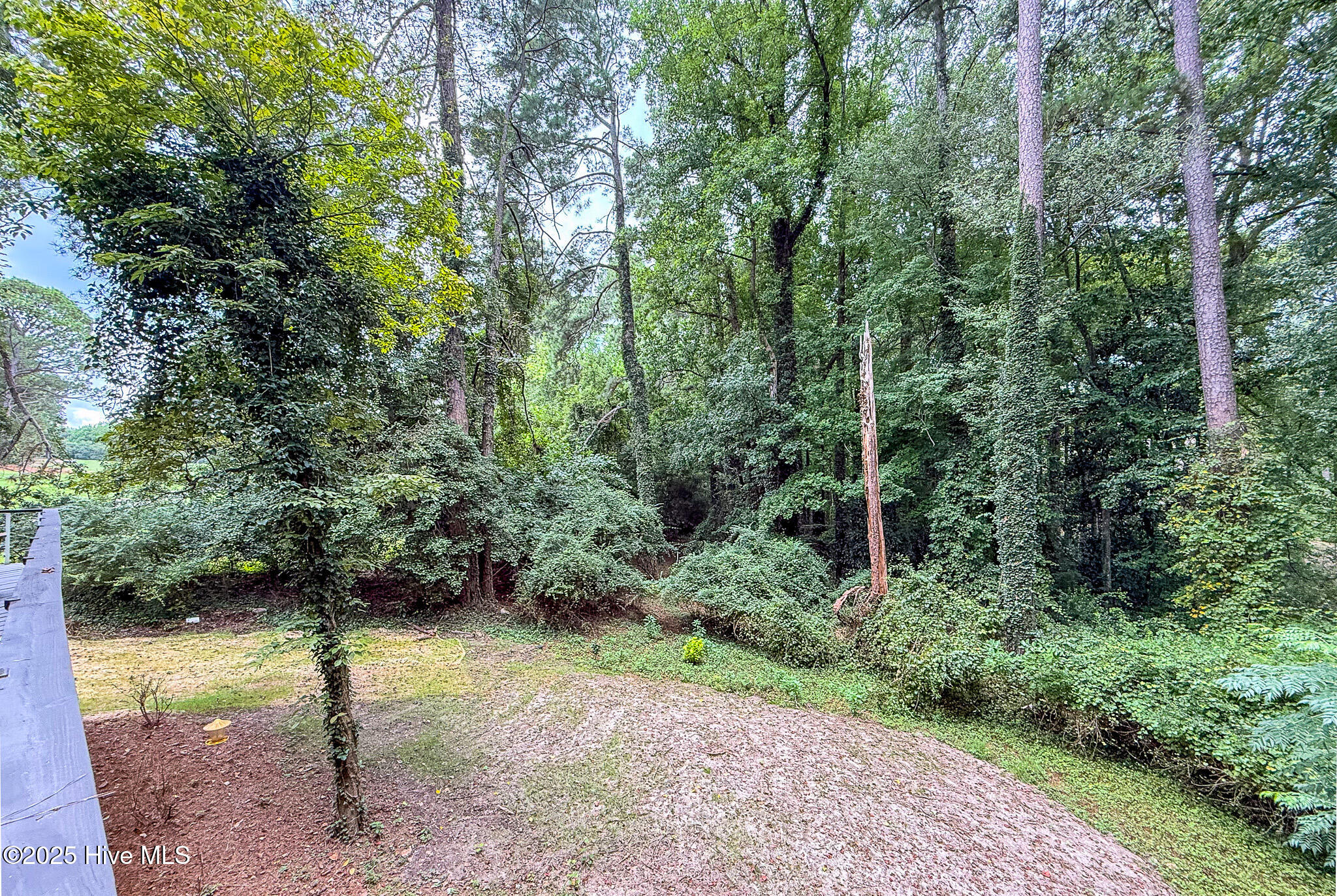 7 Inverness Place Pinehurst, NC 28374 - Photo 21 of 126 View of the low maintenance back yard from the top deck
