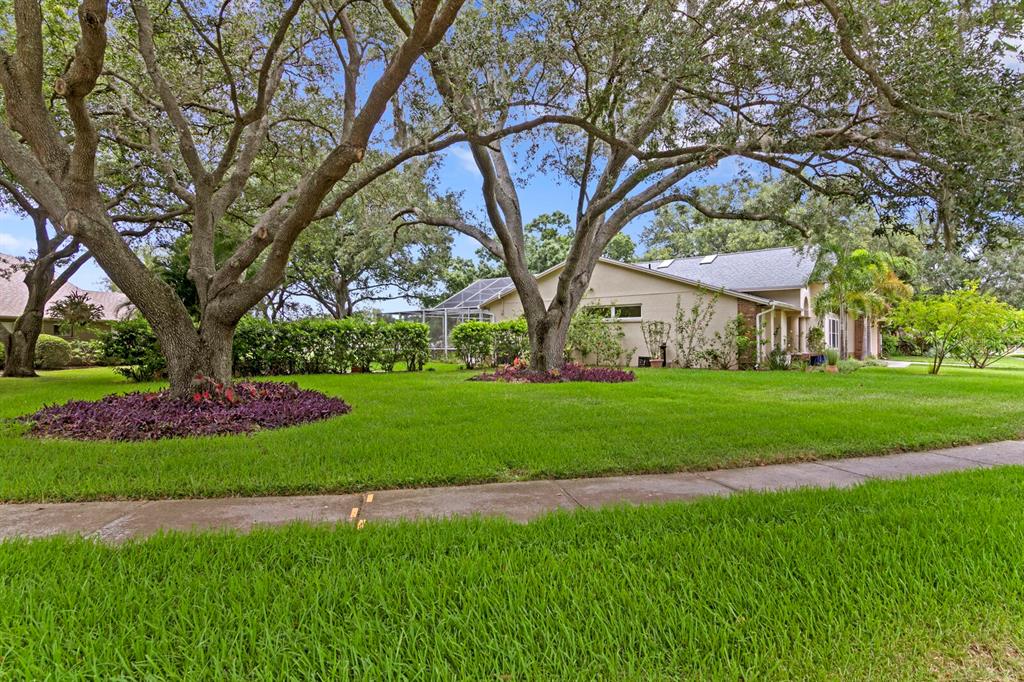 8412 Ridgebrook Circle Odessa, FL 33556 - Photo 22 of 87