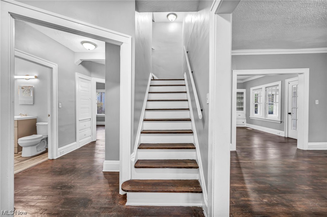 2563 Overlook Road Cleveland, OH 44106 - Photo 10 of 32 Staircase with ornamental molding, a textured ceiling, and dark hardwood / wood-style flooring