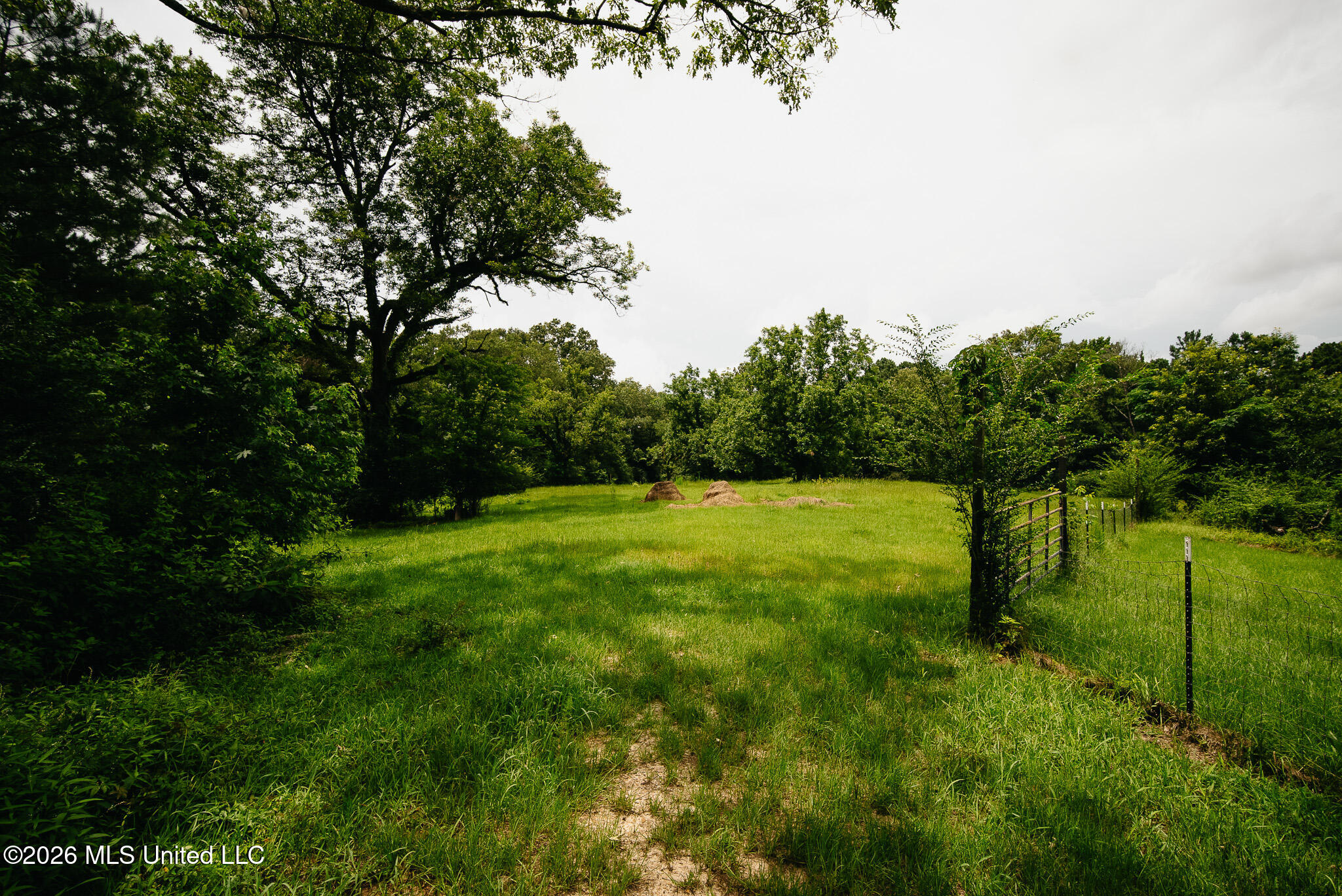 2139 Warren Hood Road Hermanville, MS 39086 - Photo 69 of 115 Pasture