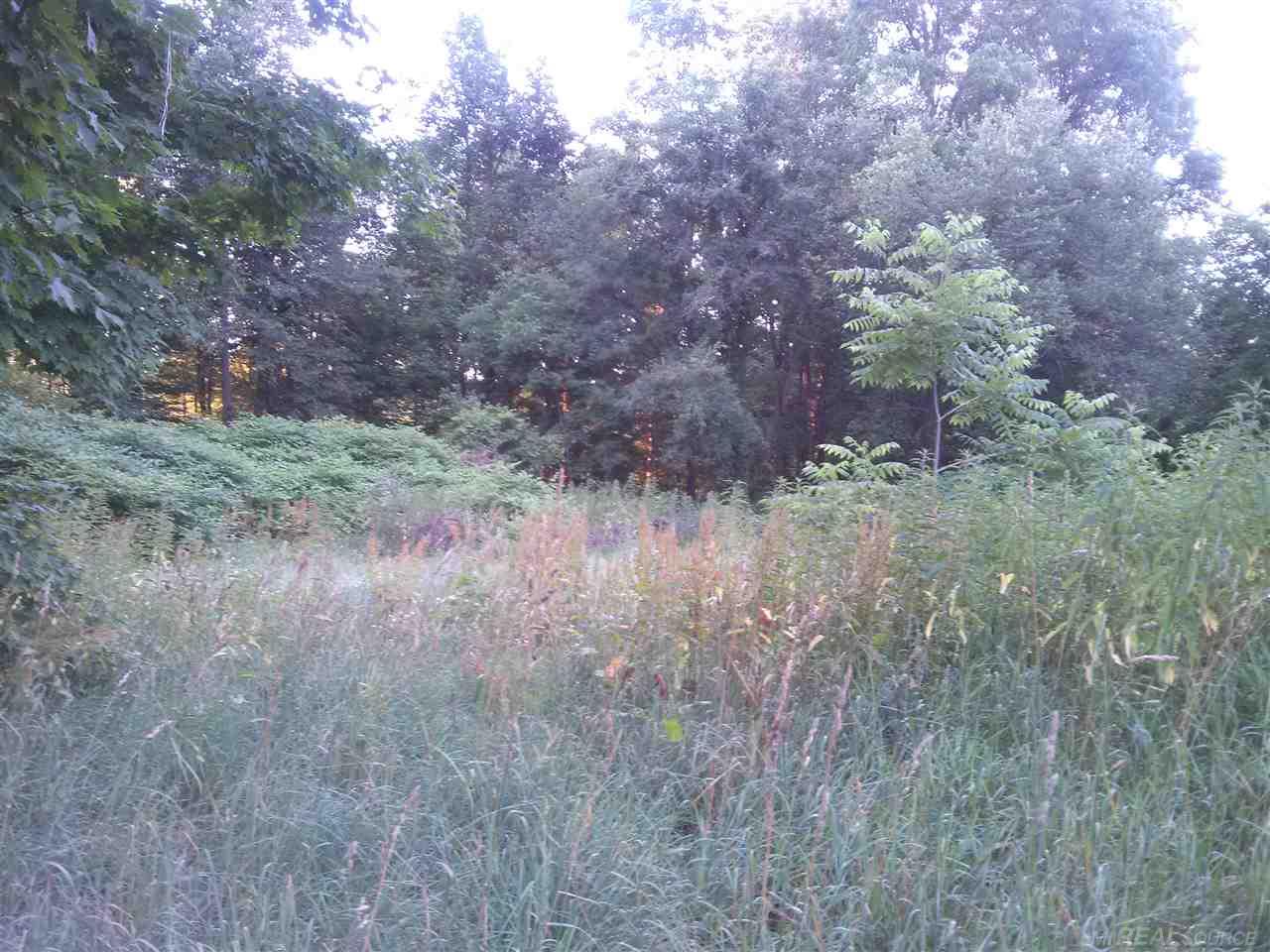 822 West Barnes Road Fostoria, MI 48435 - Photo 13 of 14