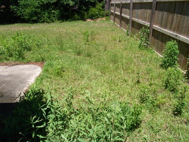 335 Dunning Road Summerville, SC 29486 - Photo 14 of 14 159 (640x480)