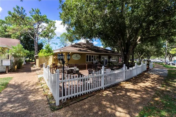 a view of three palm trees