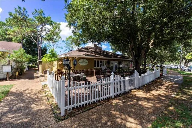 a view of three palm trees