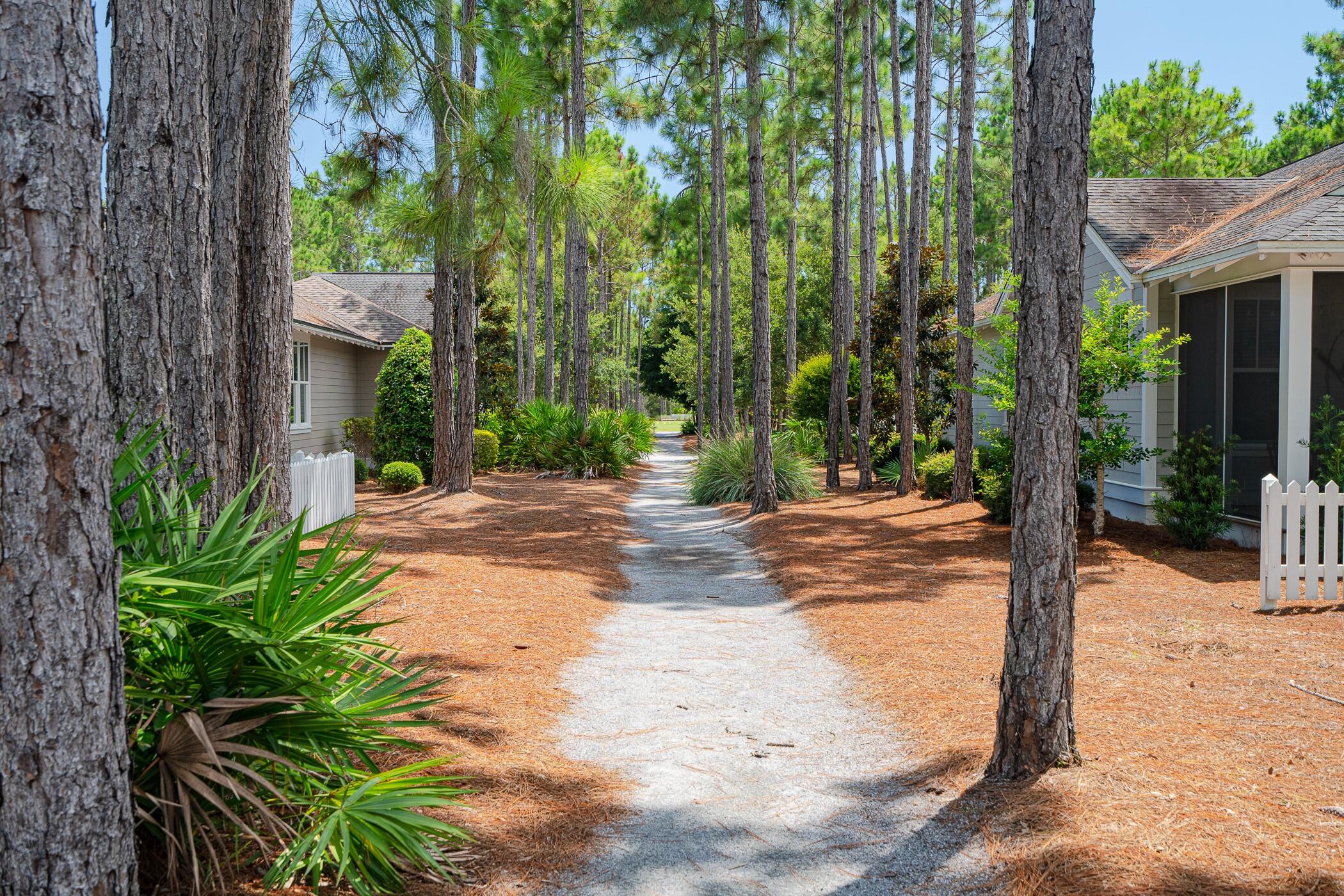 31 Windrow Way Inlet Beach Inlet Beach, FL 32461 - Photo 42 of 51 wateround- walking trail