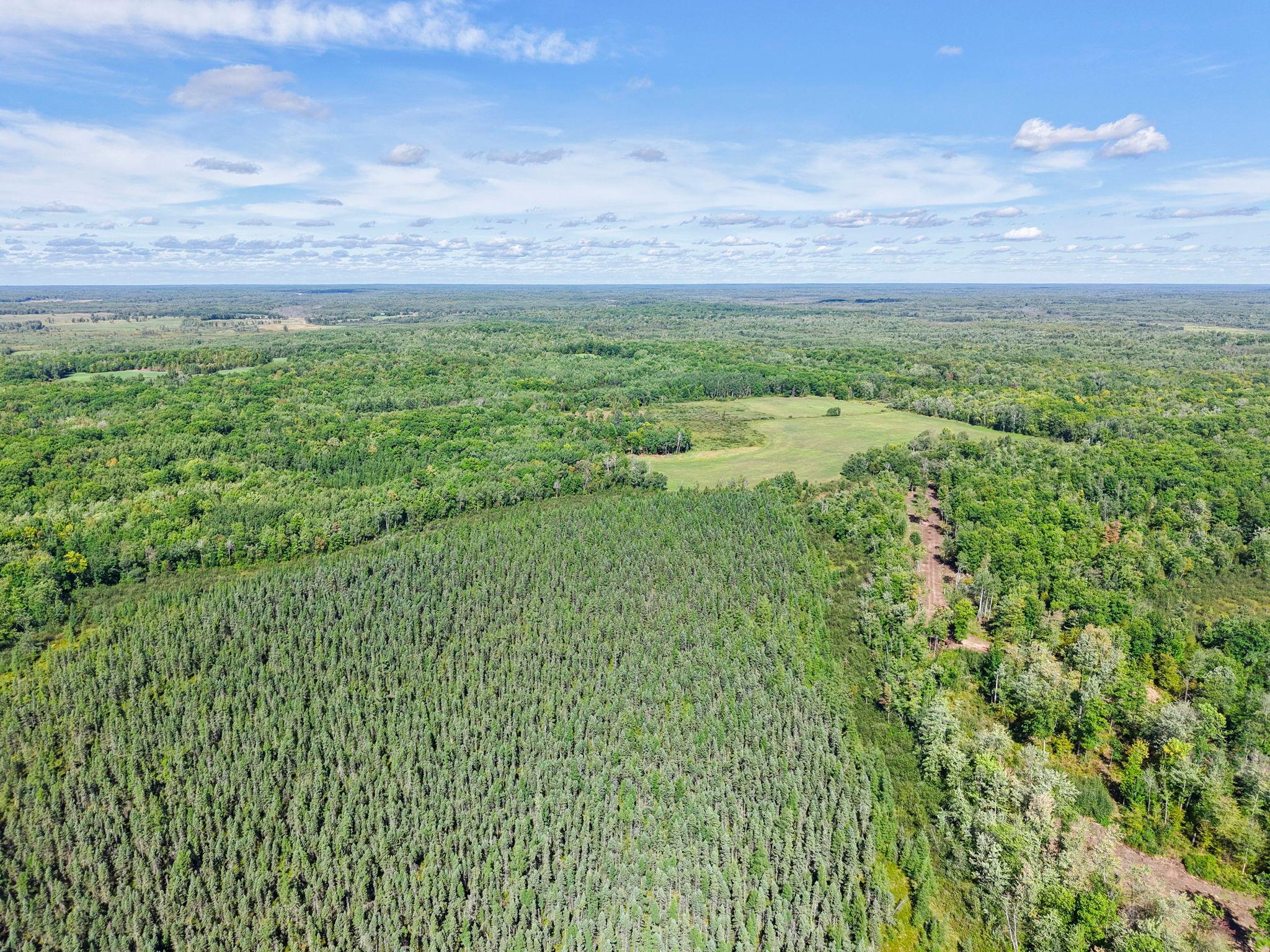 Xxx Fleming Logging Road Hinckley, MN 55037 - Photo 67 of 87 Gallery Image 67
