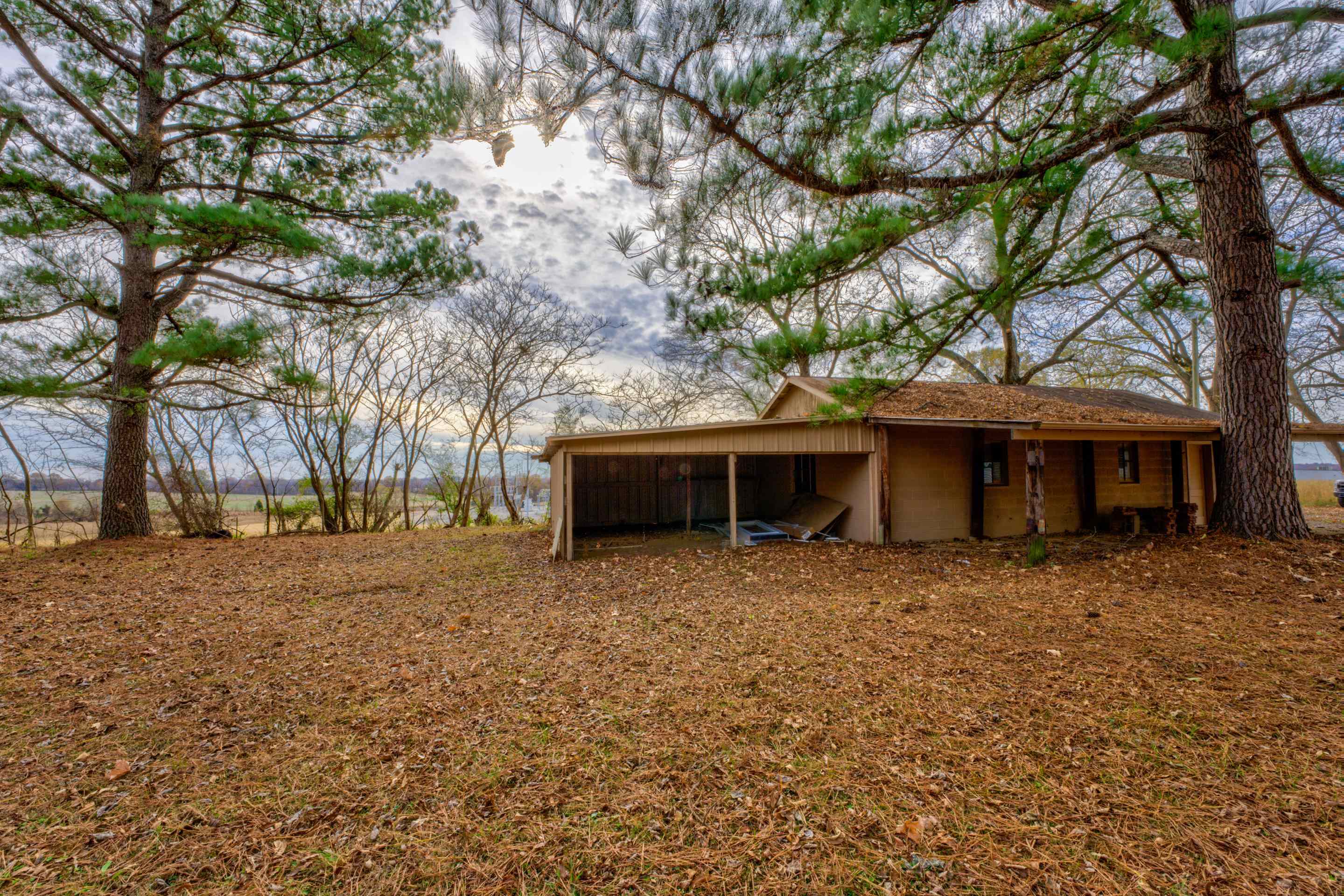 367 Highland Street Ripley, TN 38063 - Photo 29 of 31 Gallery Image 29