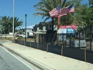 a outdoor space with lots of palm trees