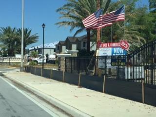 a outdoor space with lots of palm trees
