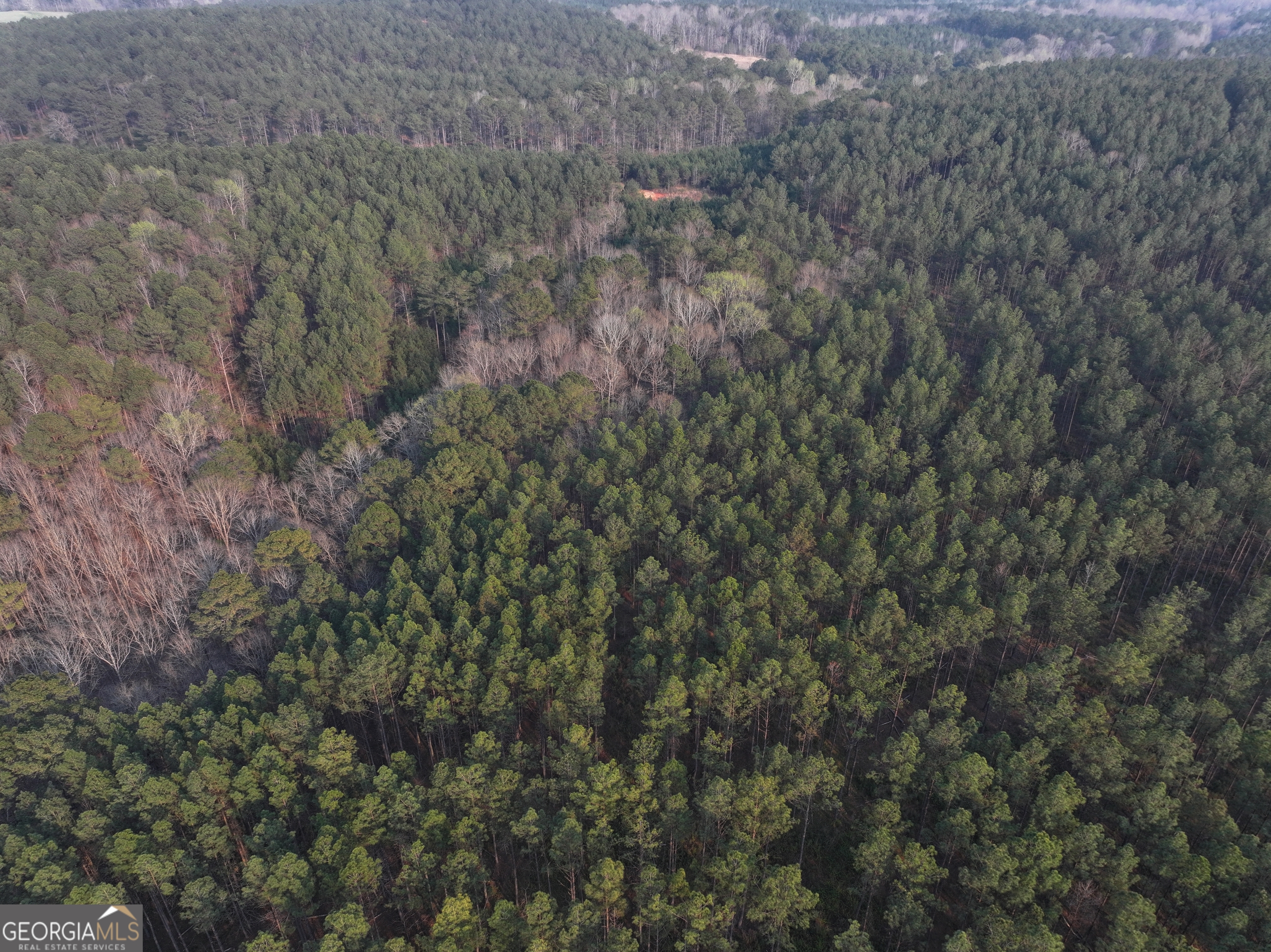 117 Acres On Mccosh Mill Road Franklin, GA 30217 - Photo 4 of 24