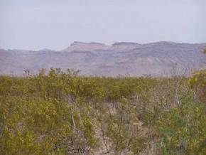 Unknown Unknown Toltec Trail Golden Valley, AZ 86413 - Photo 3 of 6