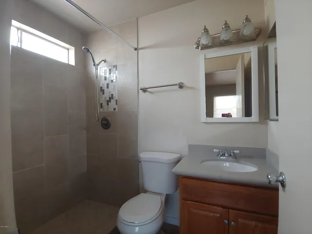a bathroom with a sink toilet vanity and shower