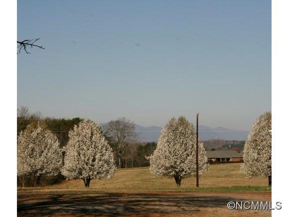 215 Davenport Road Rutherfordton, NC 28139 - Photo 2 of 16