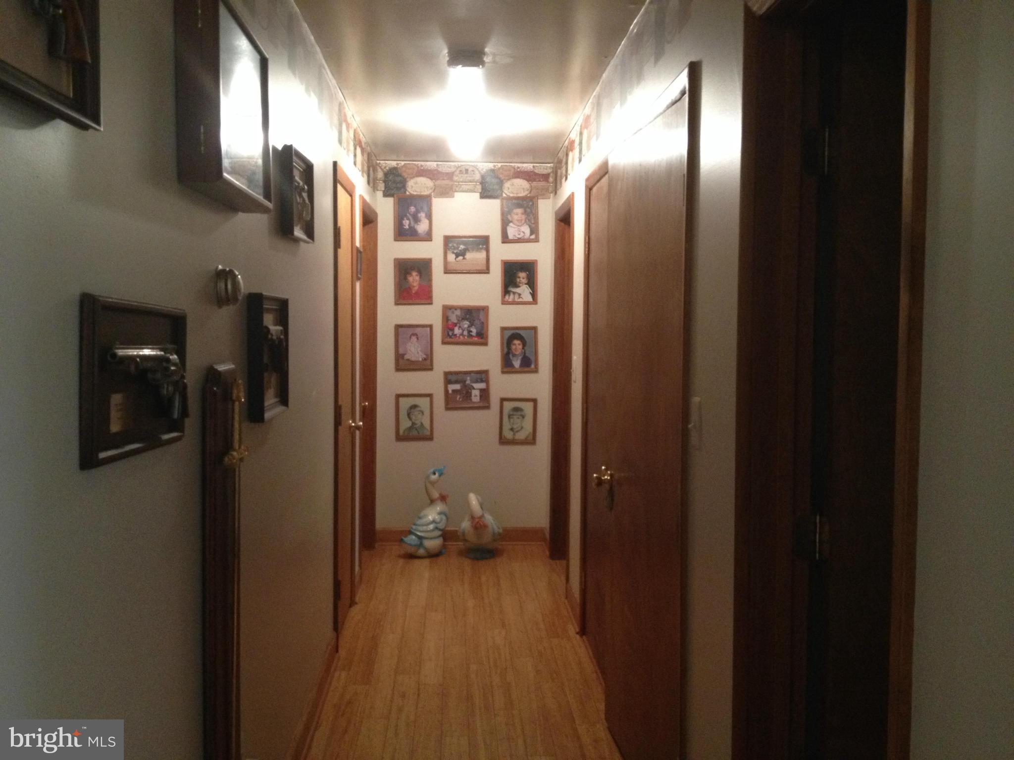 9351 Dunkard Church Road Rixeyville, VA 22737 - Photo 6 of 27 Interior (General)
