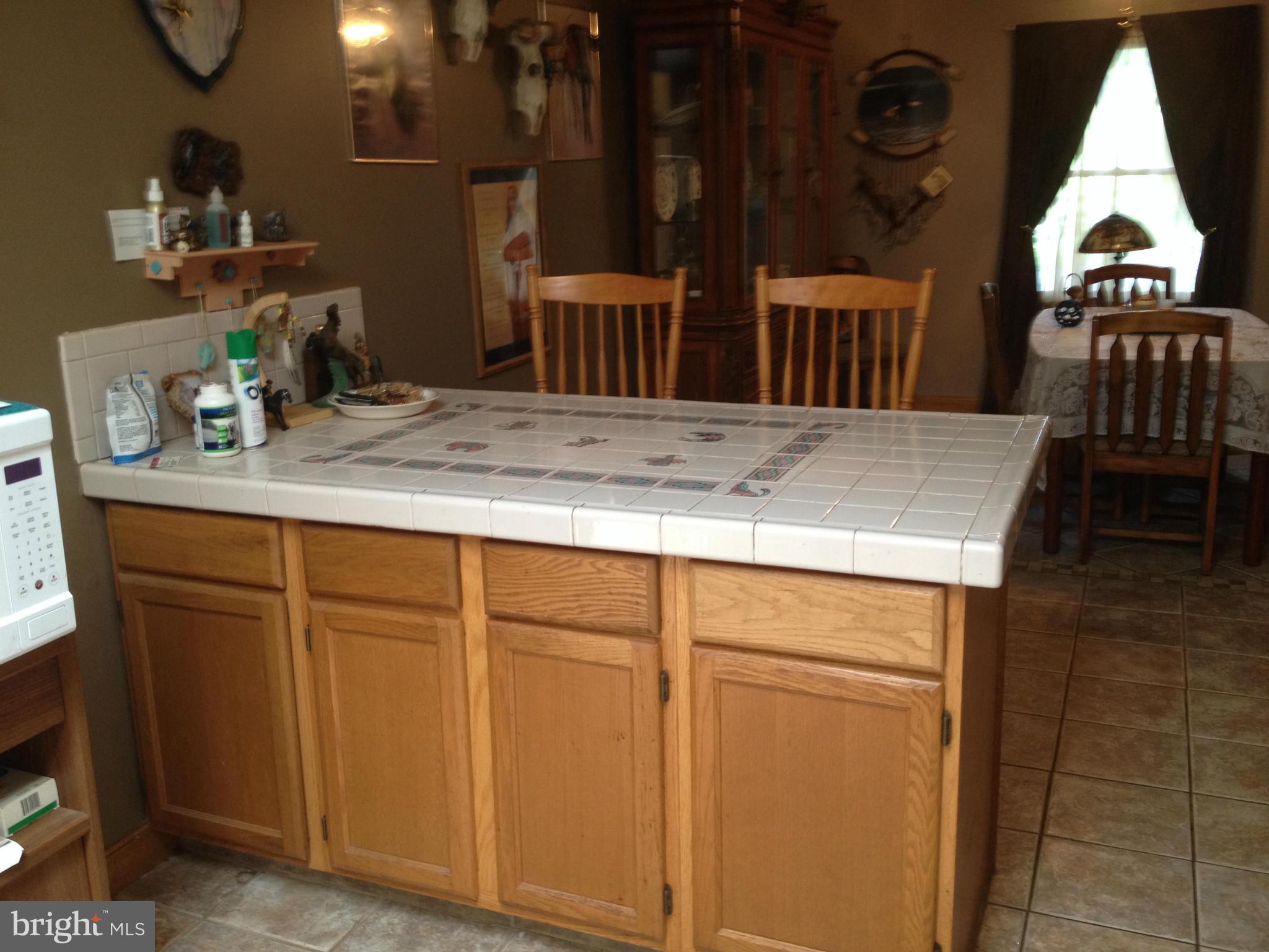 9351 Dunkard Church Road Rixeyville, VA 22737 - Photo 10 of 27 Kitchen