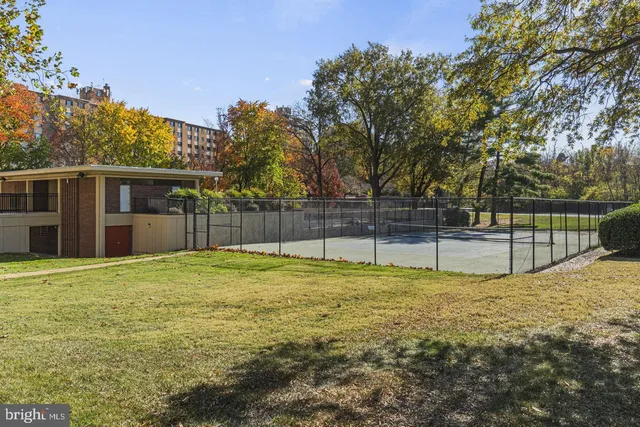 a view of a backyard with large trees