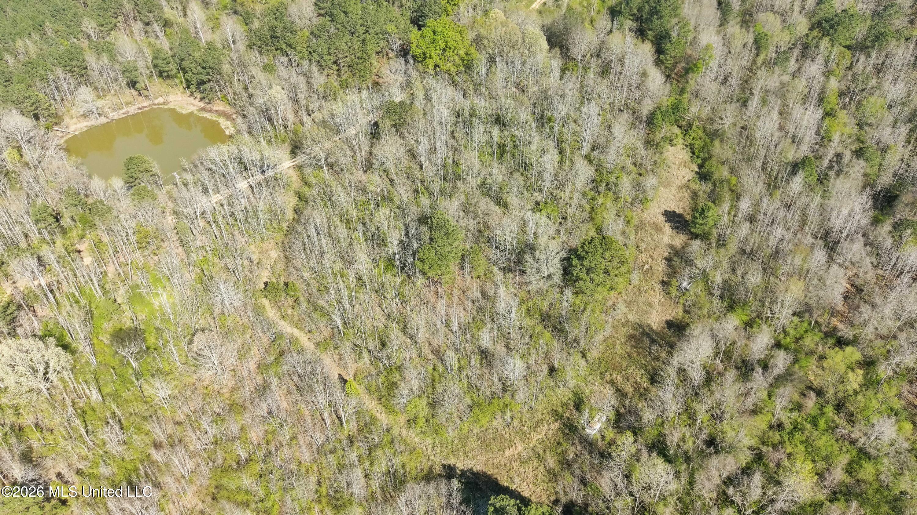 Wells Street Wesson, MS 39191 - Photo 3 of 8 MAX_0154