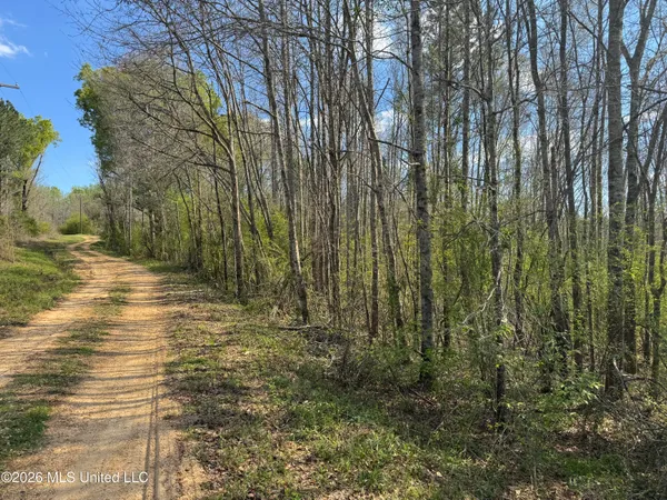 $125,000 | Wells Street, Wesson, MS 39191