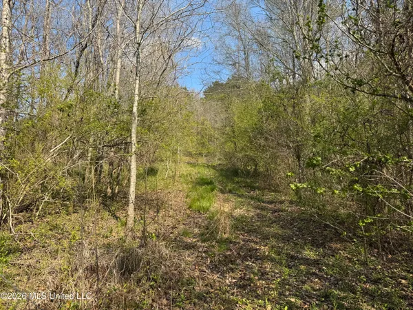$125,000 | Wells Street, Wesson, MS 39191
