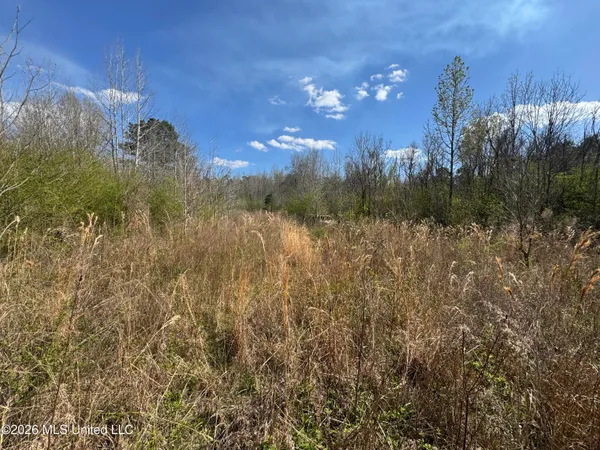$125,000 | Wells Street, Wesson, MS 39191