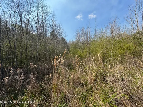 $125,000 | Wells Street, Wesson, MS 39191