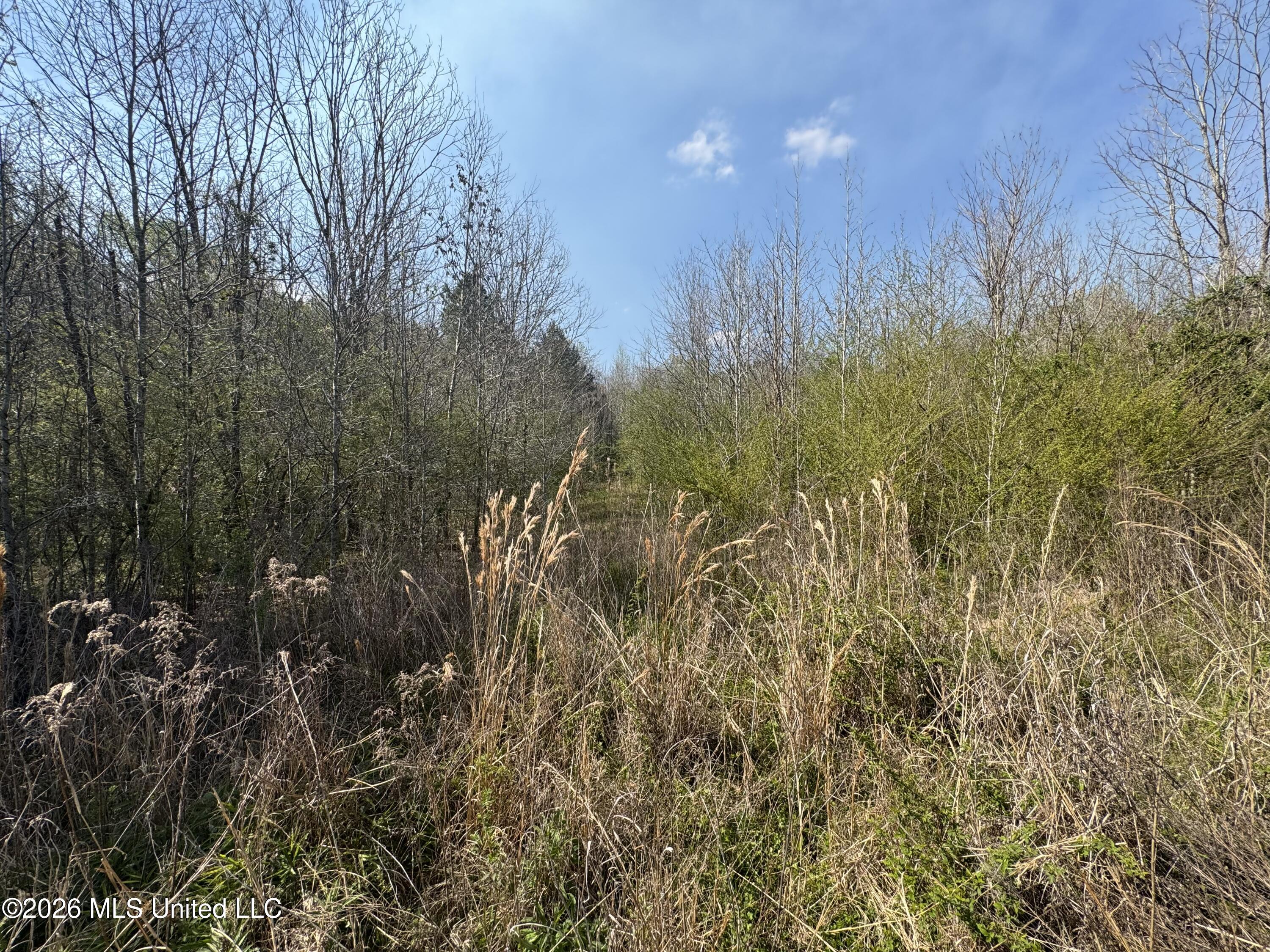 Wells Street Wesson, MS 39191 - Photo 8 of 8 IMG_2963