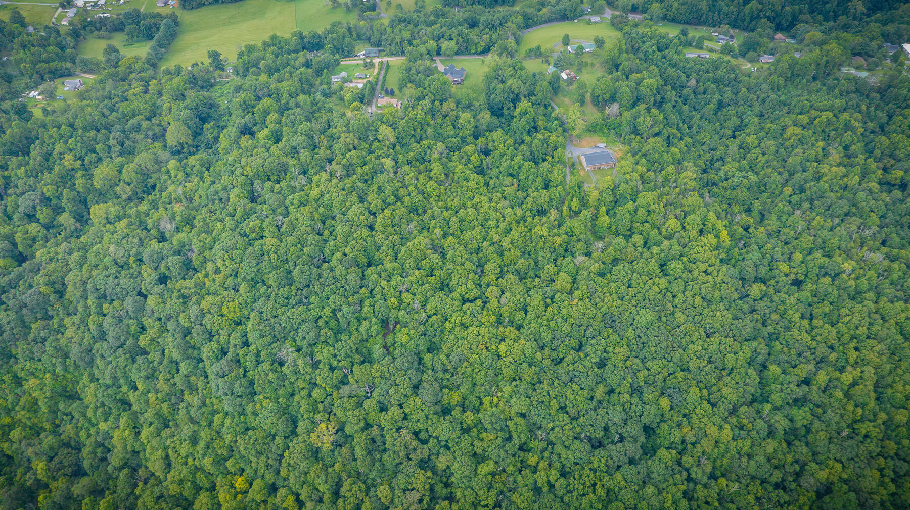 764 Bluff Road Kingsport, TN 37664 - Photo 92 of 101 111