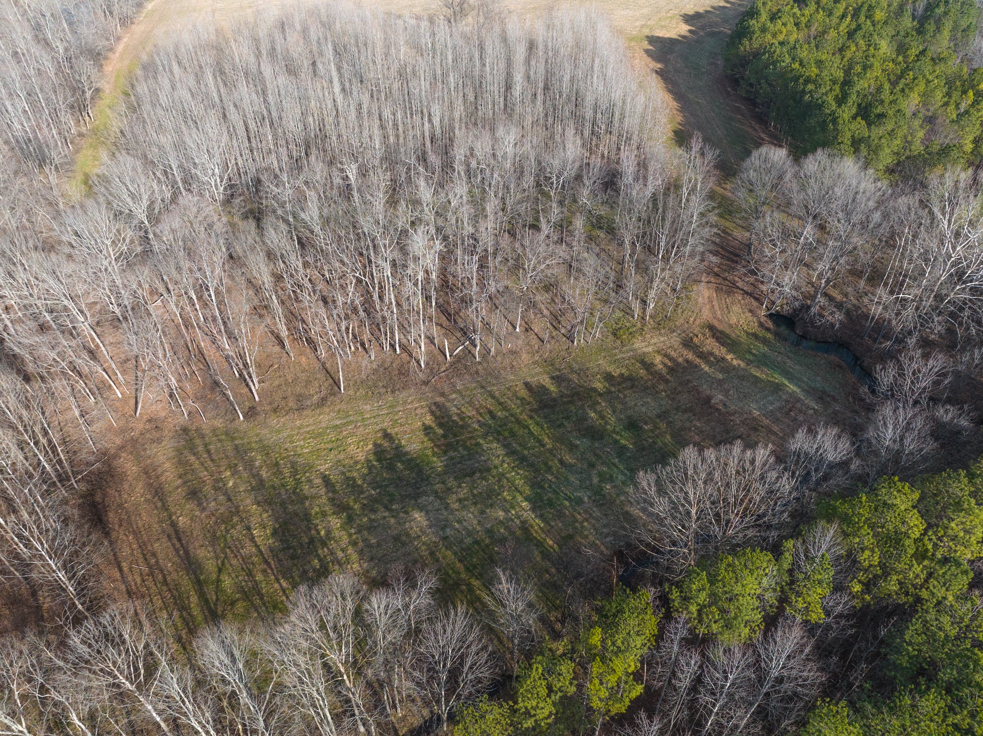 37 David Blue Road Summertown, TN 38483 - Photo 48 of 53 Gallery Image 48
