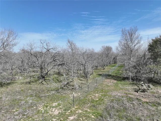 a view of a field with trees in the background