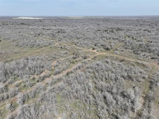 a view of a field with trees in the background