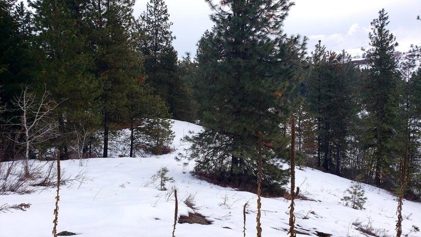 1684 Brooks Road Evans, WA 99126 - Photo 12 of 35 Gallery Image 12