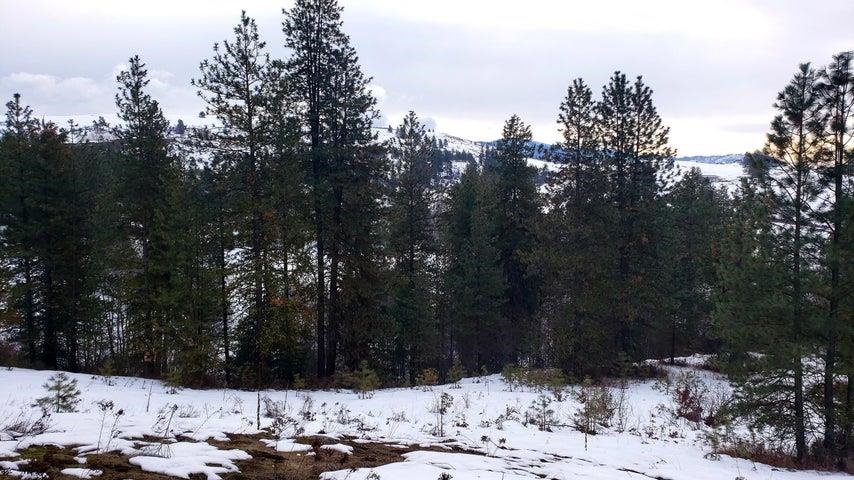 1684 Brooks Road Evans, WA 99126 - Photo 14 of 35 Gallery Image 14
