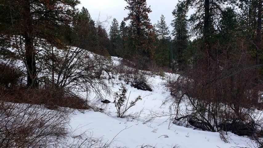 1684 Brooks Road Evans, WA 99126 - Photo 16 of 35 Gallery Image 16