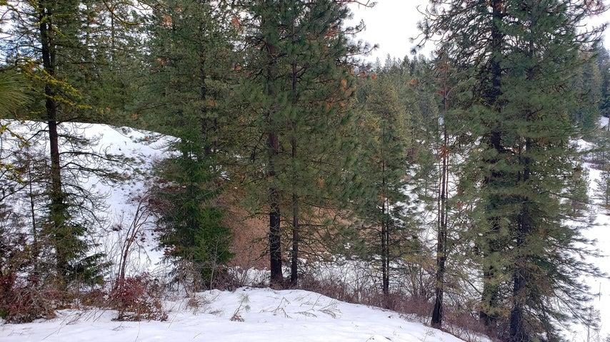 1684 Brooks Road Evans, WA 99126 - Photo 10 of 35 Gallery Image 10