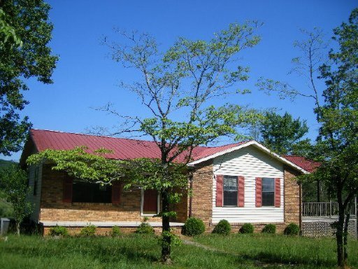 Primary Photo