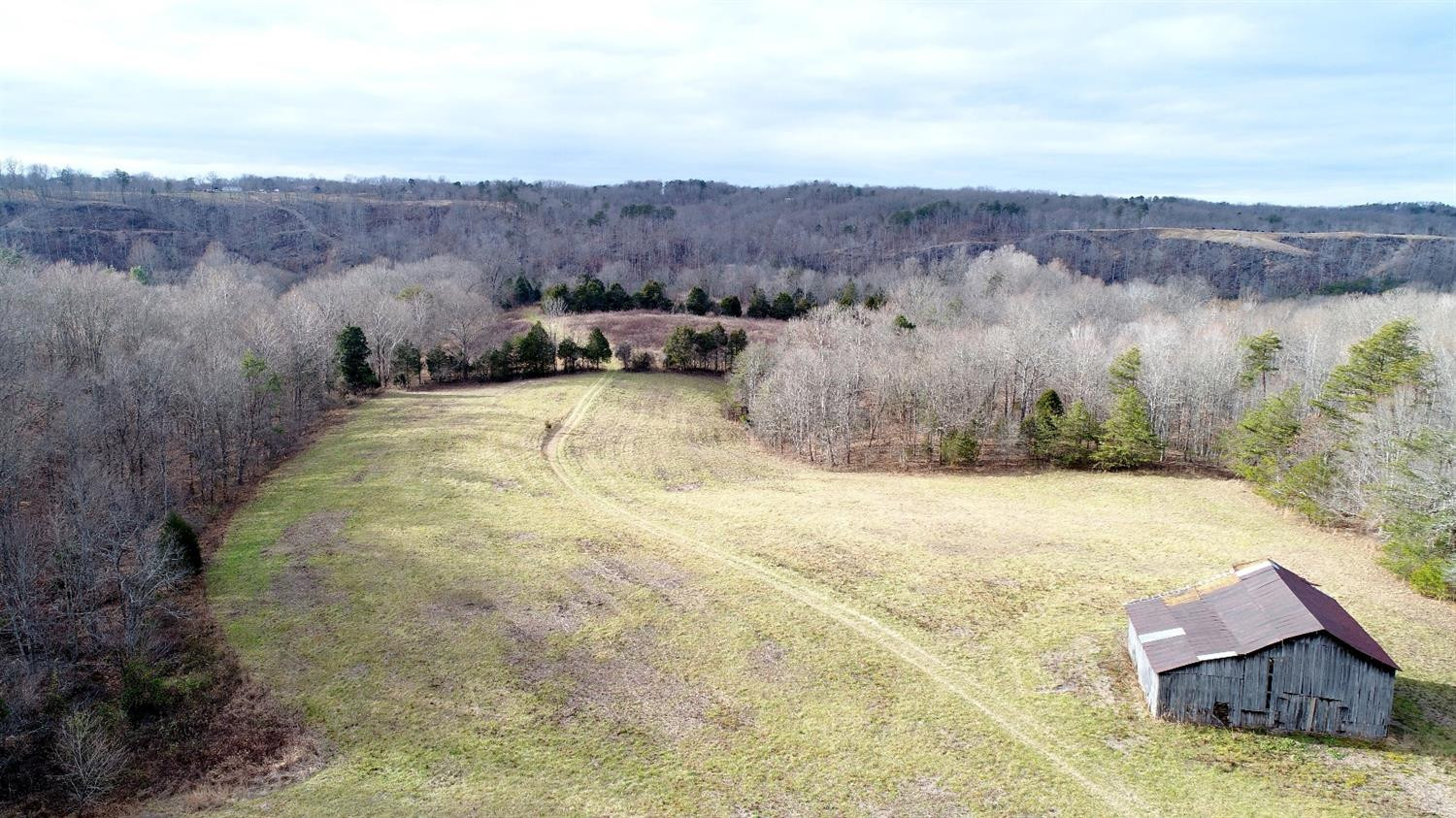 146 Opossum Run Road Irvine, KY 40336 - Photo 49 of 64 Over 6 acres in this field alone! That