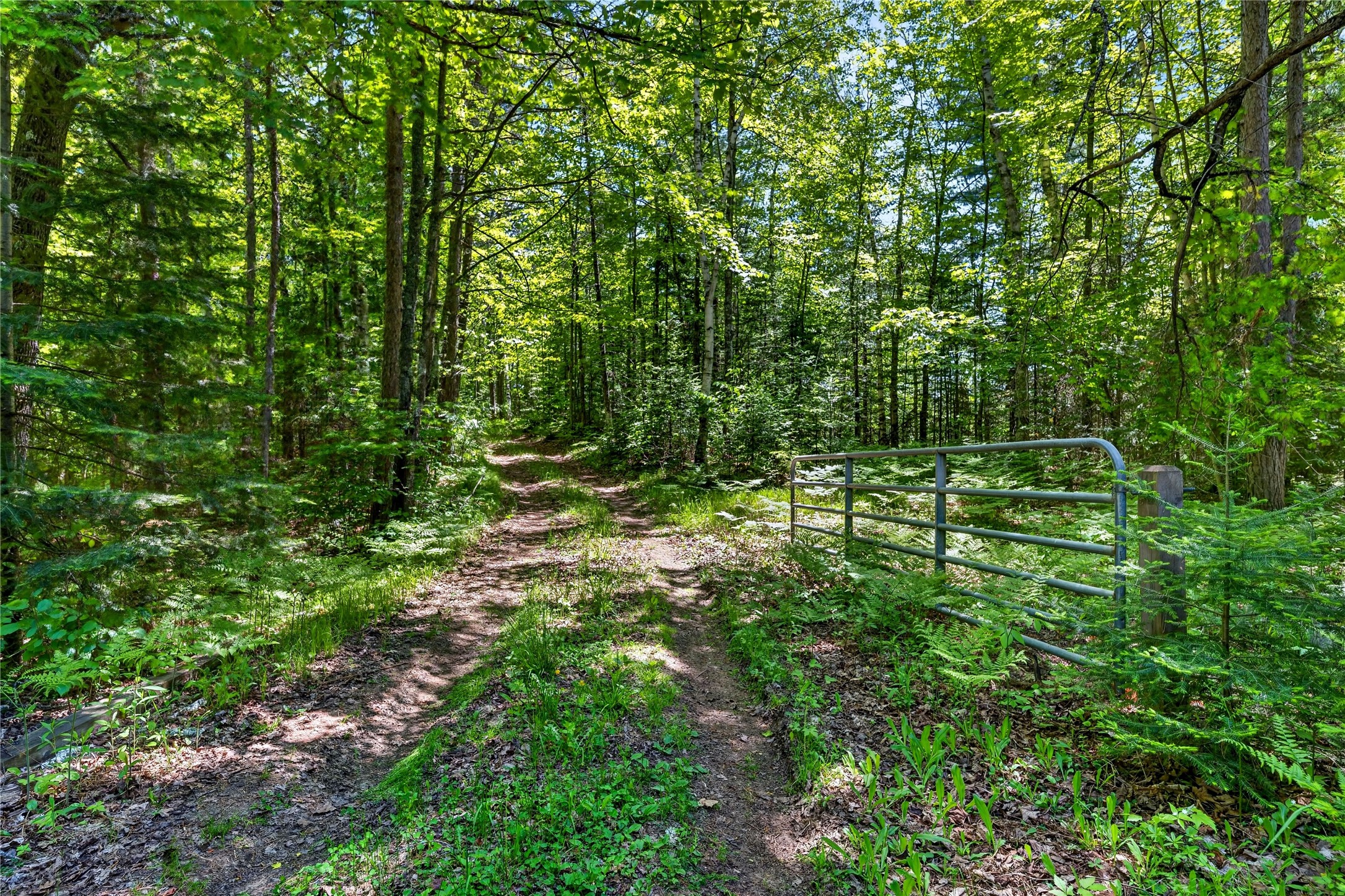 43545 Helm Pt Road Cable, WI 54821 - Photo 27 of 30