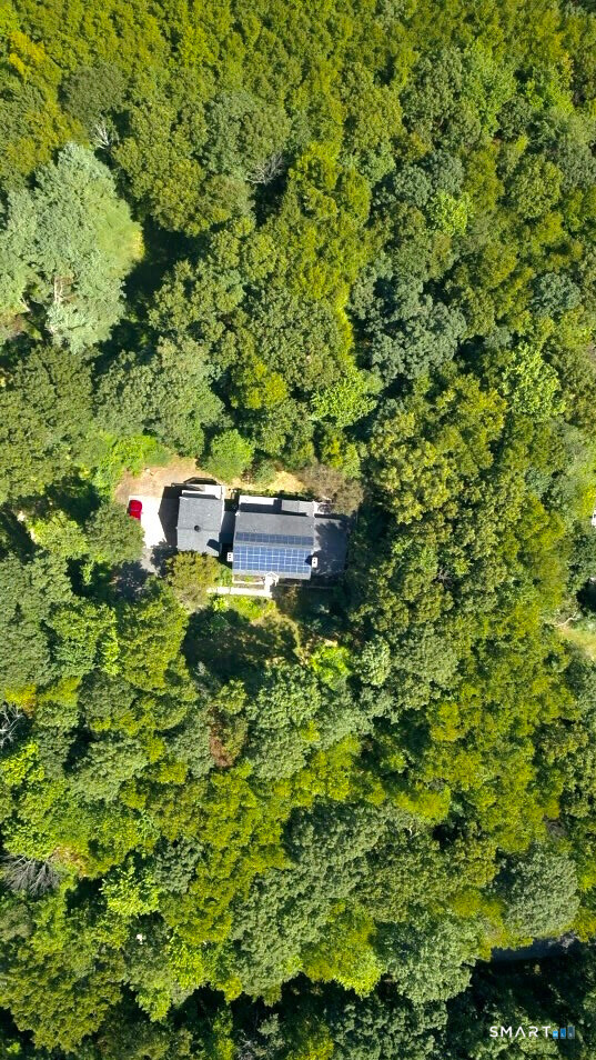 24 Hickory Lane Roxbury, CT 06783 - Photo 29 of 38