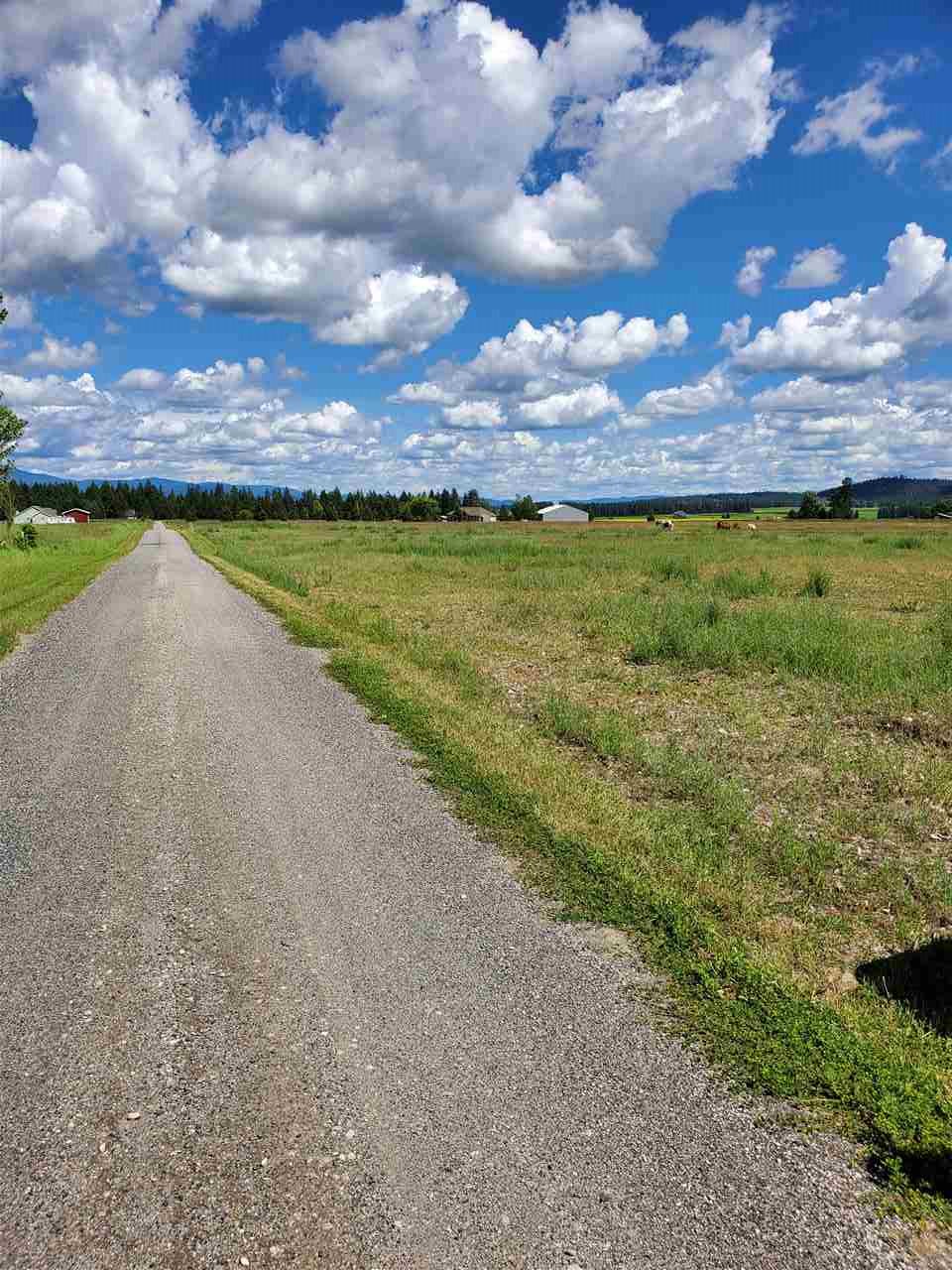 Xxxx North Spotted Road Deer Park, WA 99006 - Photo 2 of 5