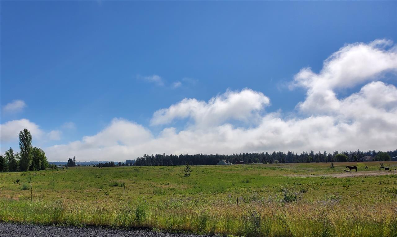 Xxxx North Spotted Road Deer Park, WA 99006 - Photo 4 of 5