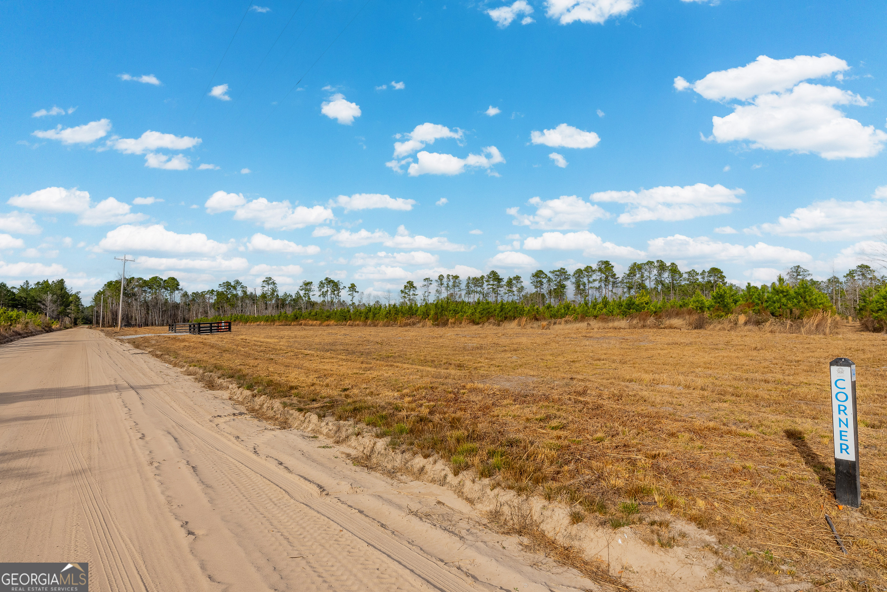 Lot 13 Bennett Grooms Road Brooklet, GA 30415 - Photo 2 of 3