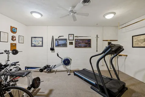 a view of a forest with trees in the background