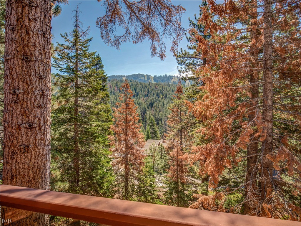 1368 Zurich Lane Incline Village, NV 89451 - Photo 9 of 34 a view of a wooden floor with a tree