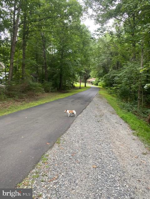 0 Peach Grove Road Louisa, VA 23093 - Photo 1 of 5 Gallery Image 1