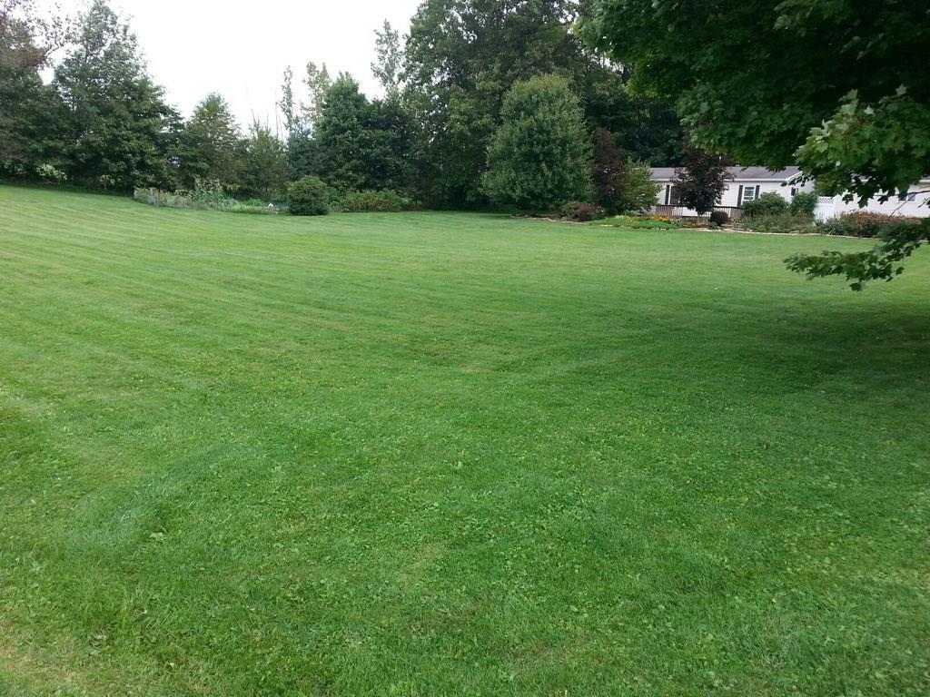 333 Cornetti Road Fenelton, PA 16034 - Photo 3 of 6 Gallery Image 3